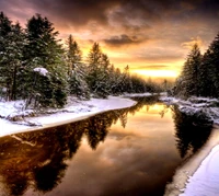 Tranquil Winter Reflections in a Snowy Forest