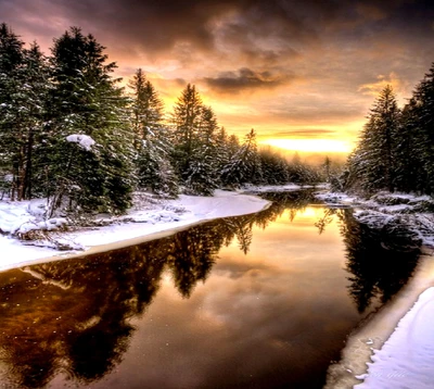 Reflexões de inverno tranquilas em uma floresta nevada