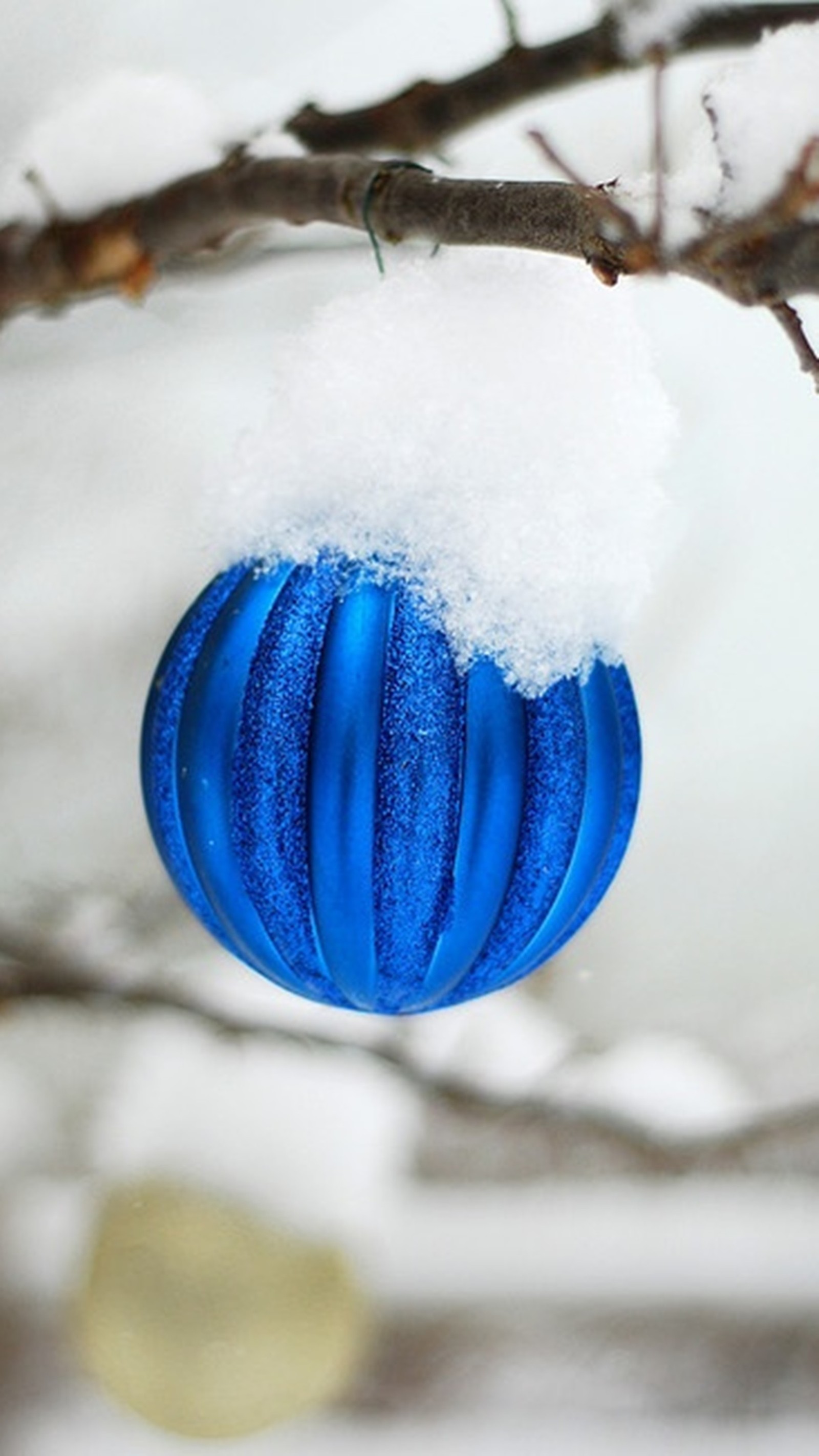 Hay un adorno azul colgando de una rama de árbol (pelota, navidad)