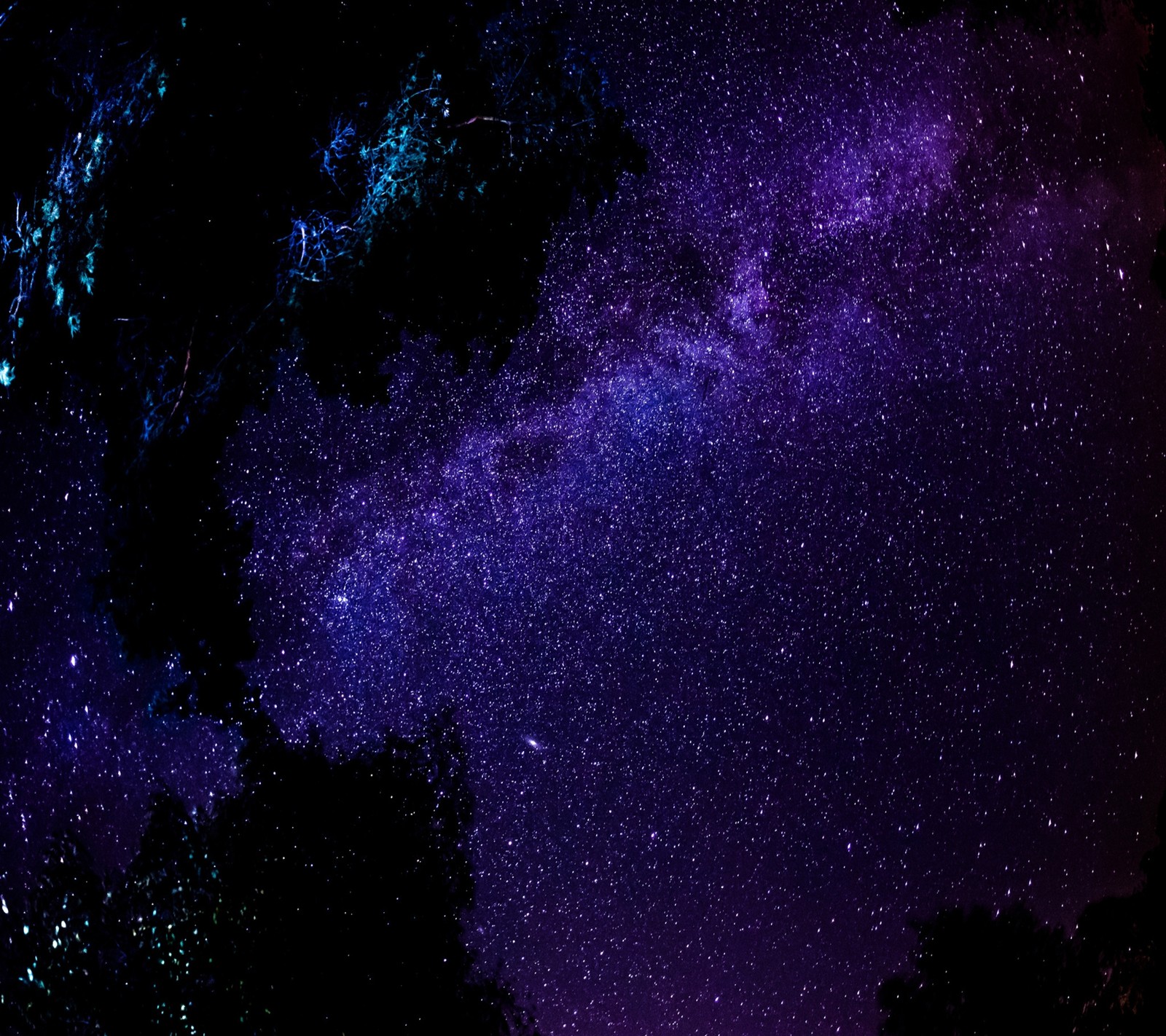 Céu estrelado com uma galáxia roxa e azul ao fundo (luz, adorável, leitoso, natureza, noite)