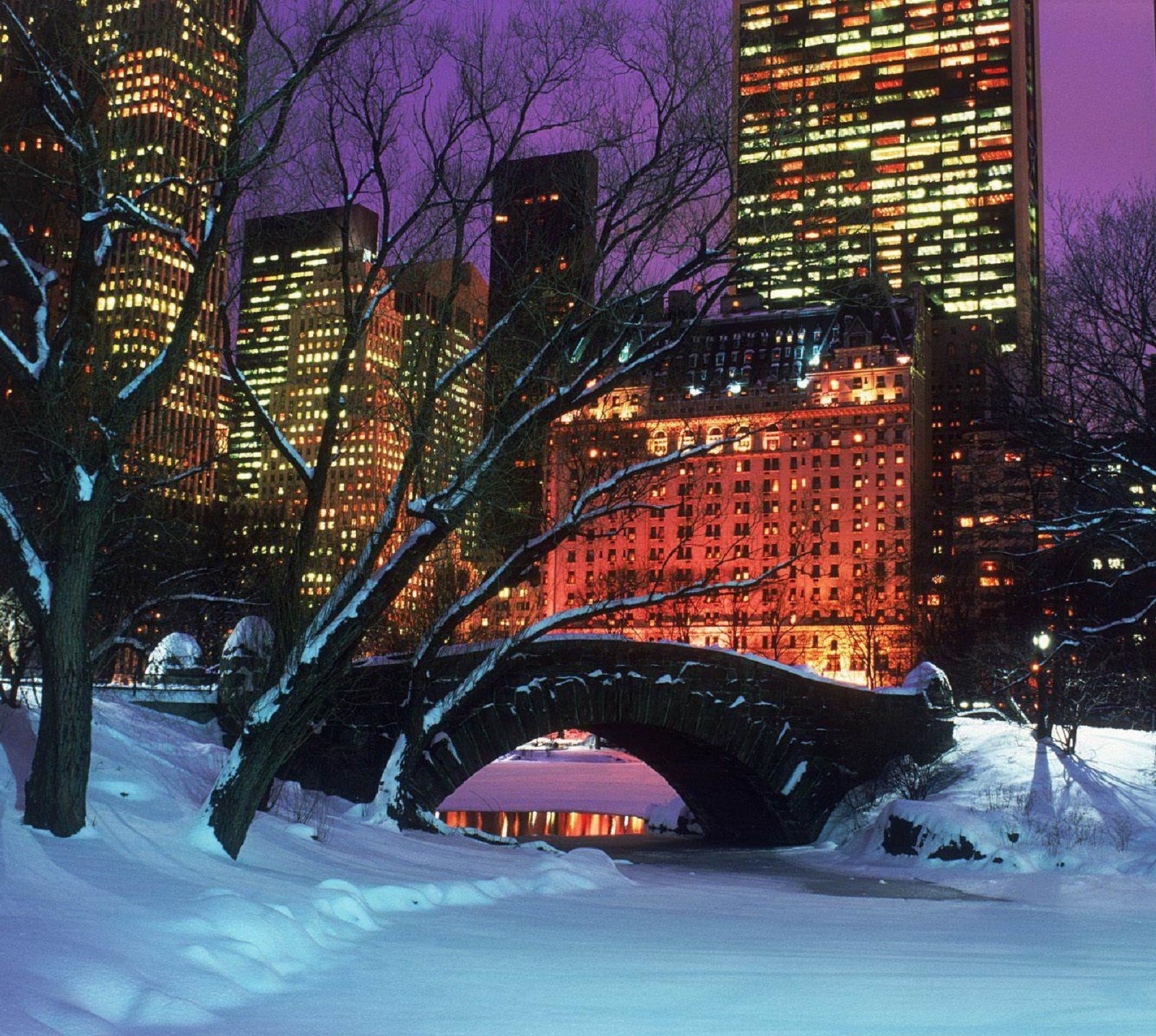 Скачать обои центральный парк, central park, манхэттен, нью йорк, new york