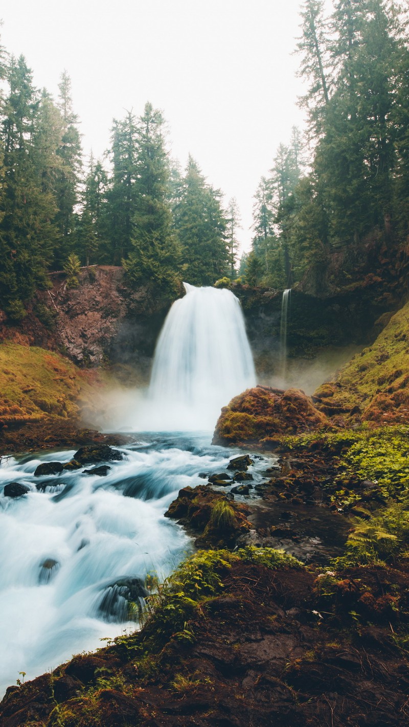 Водопад, который течет с холма с деревьями (каскада, cascada, водопад)