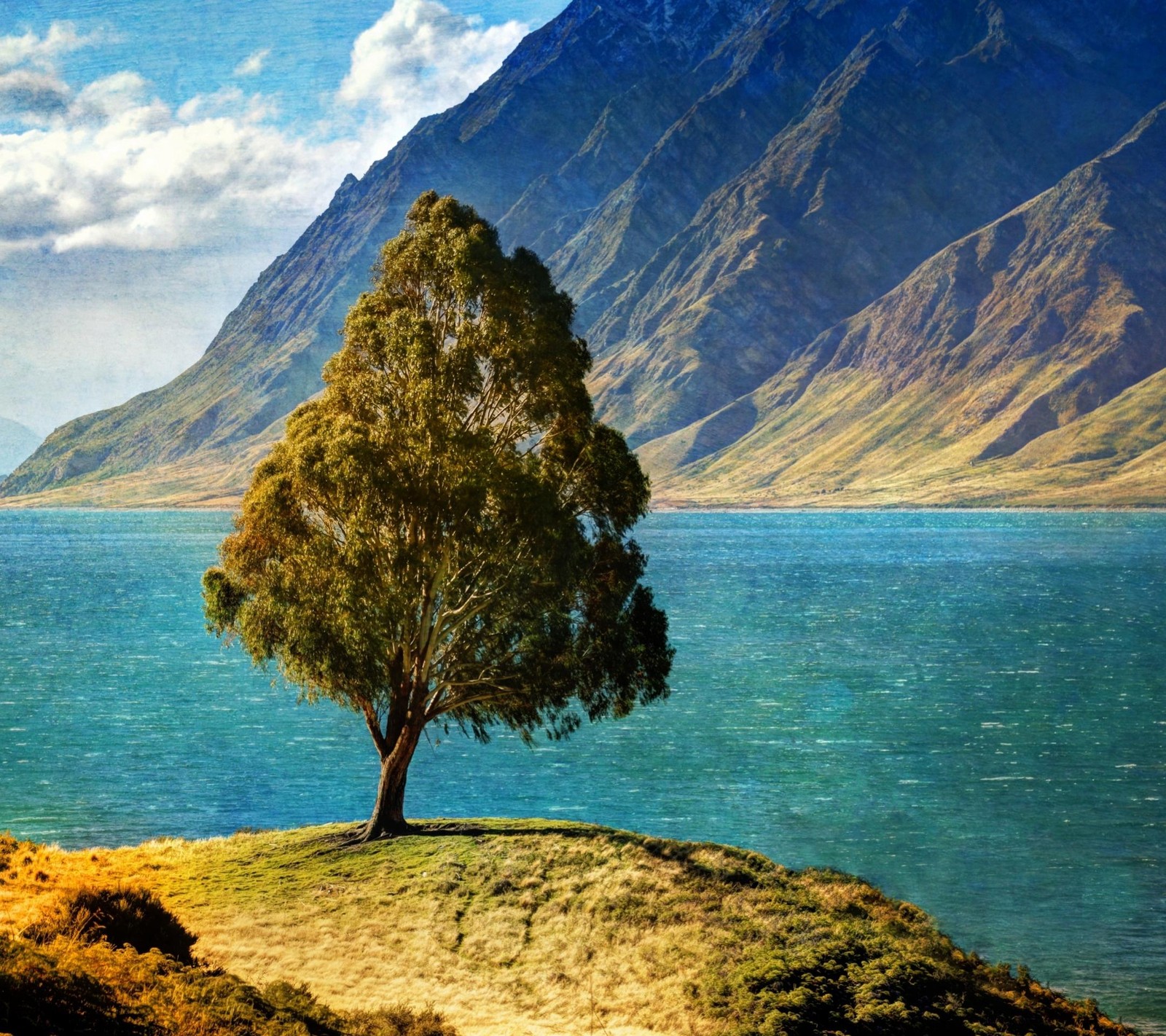 Arbre arafed sur une colline herbeuse surplombant un lac et des montagnes (climat, montagne, nature, arbre, eau)