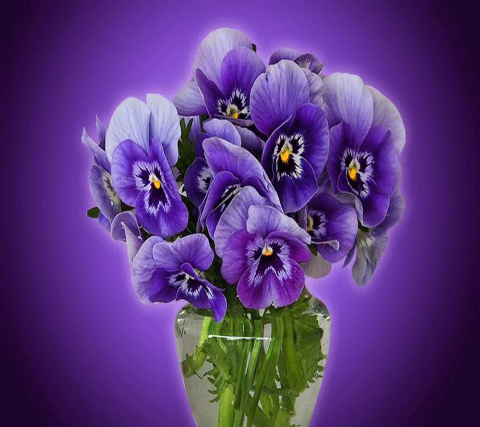 Des fleurs violettes dans un vase sur un fond violet (floral, fleurs)