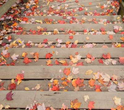 Feuilles d'automne colorées sur des escaliers en bois