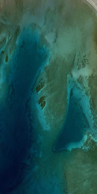 Une vue aérienne vibrante d'un paysage aquatique turquoise et azur, présentant des motifs fluides d'eaux bleues et teal, rappelant un environnement de récif serein.