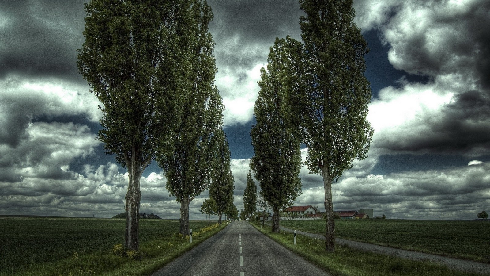 Lade straße, baum, natur, wolke, gehölz Hintergrund herunter