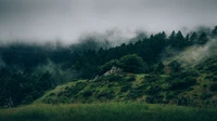 Paisagem de alta neblina com vegetação verde exuberante e montanhas onduladas.