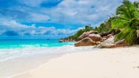 Tropical Beach with Turquoise Waters and Rocky Shoreline