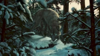 Lobo enigmático en un bosque cubierto de nieve