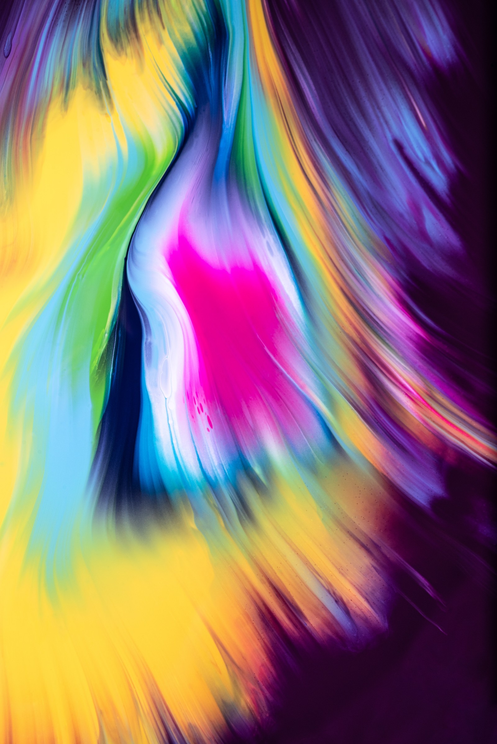 Brightly colored abstract photograph of a dog's face with a blurry background (abstract background, multicolor, abstract, 4k wallpaper)