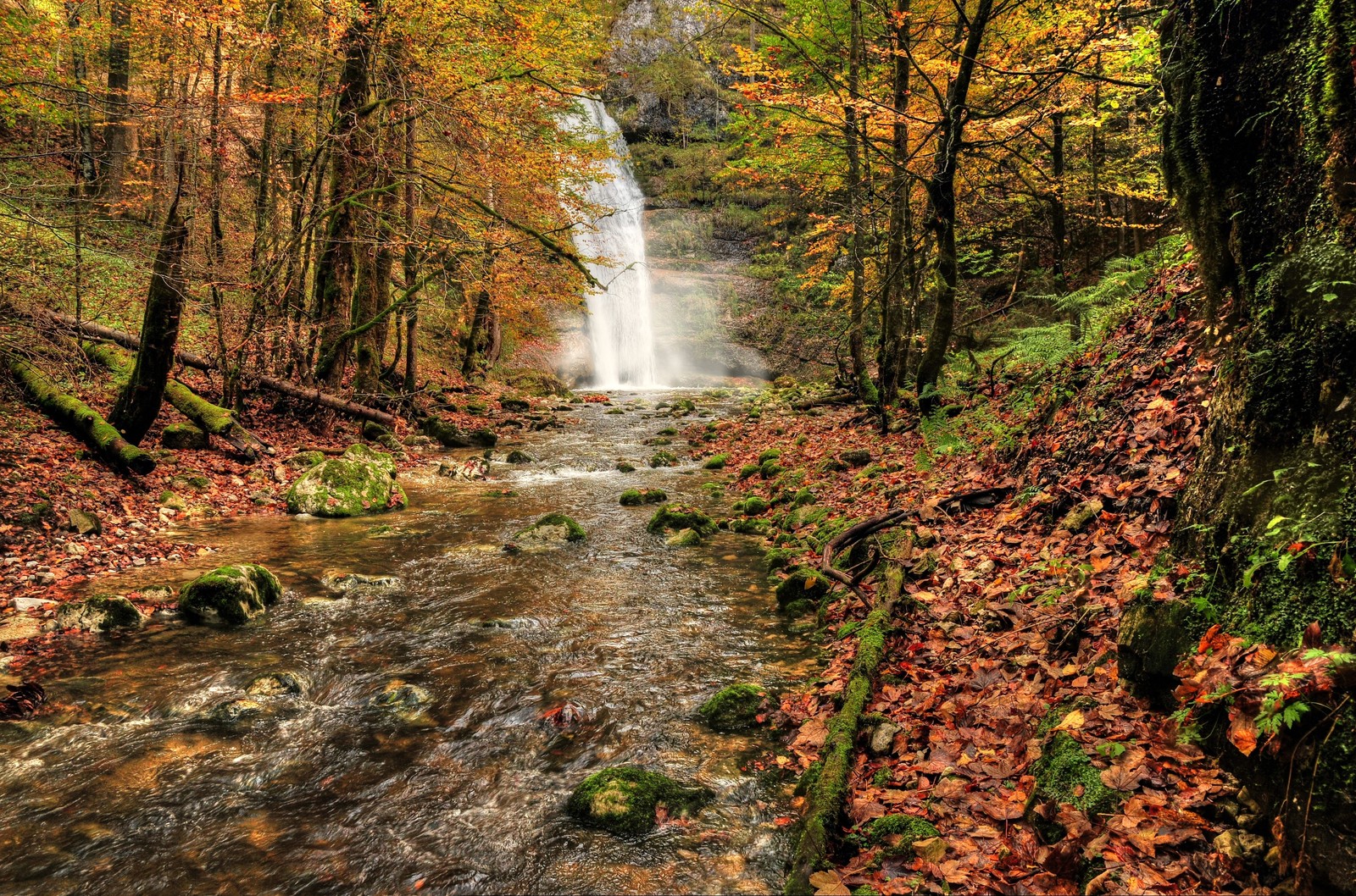 A waterfall in the woods with fall foliage and rocks (autumn, nature, body of water, leaf, waterfall)