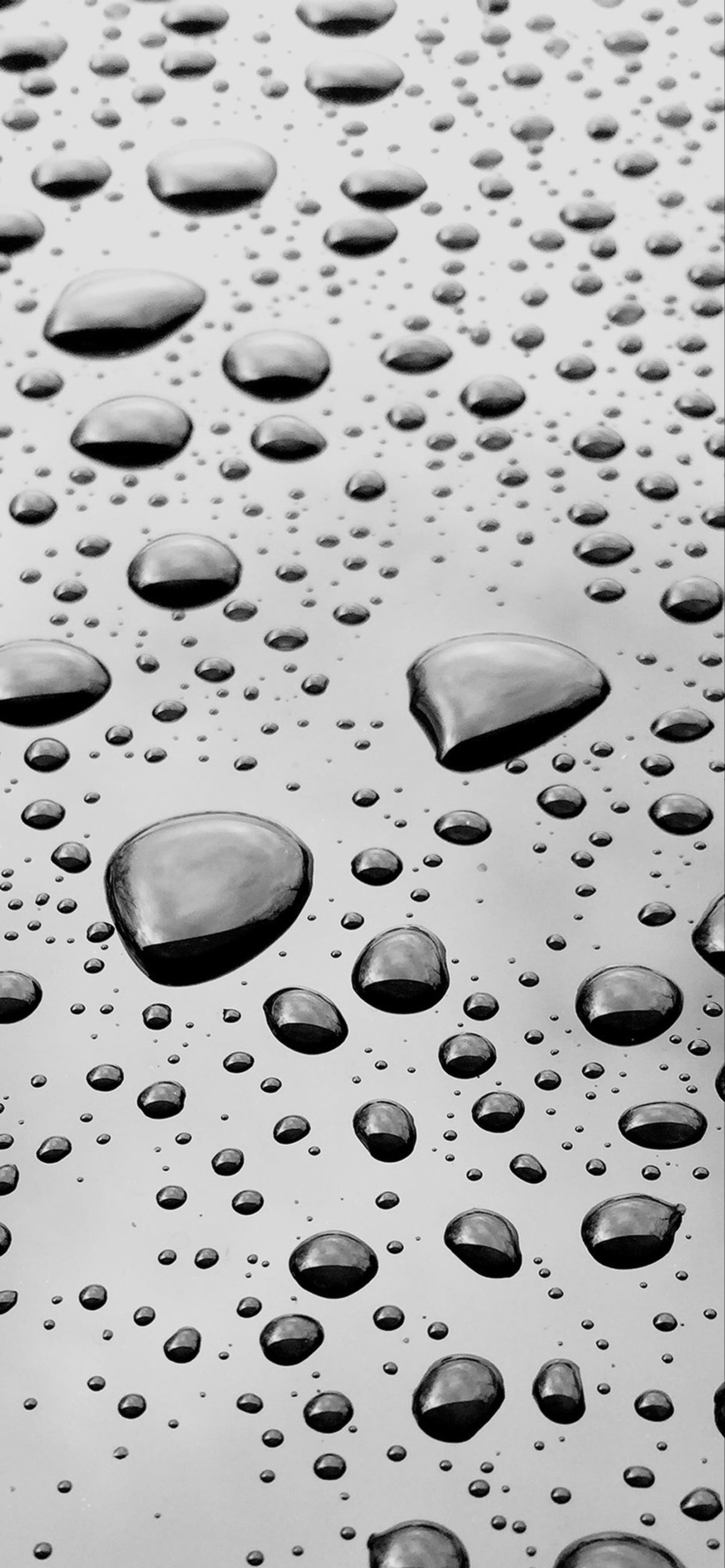 A close up of a black and white photo of water droplets (circle, drop, moisture, metal, white)