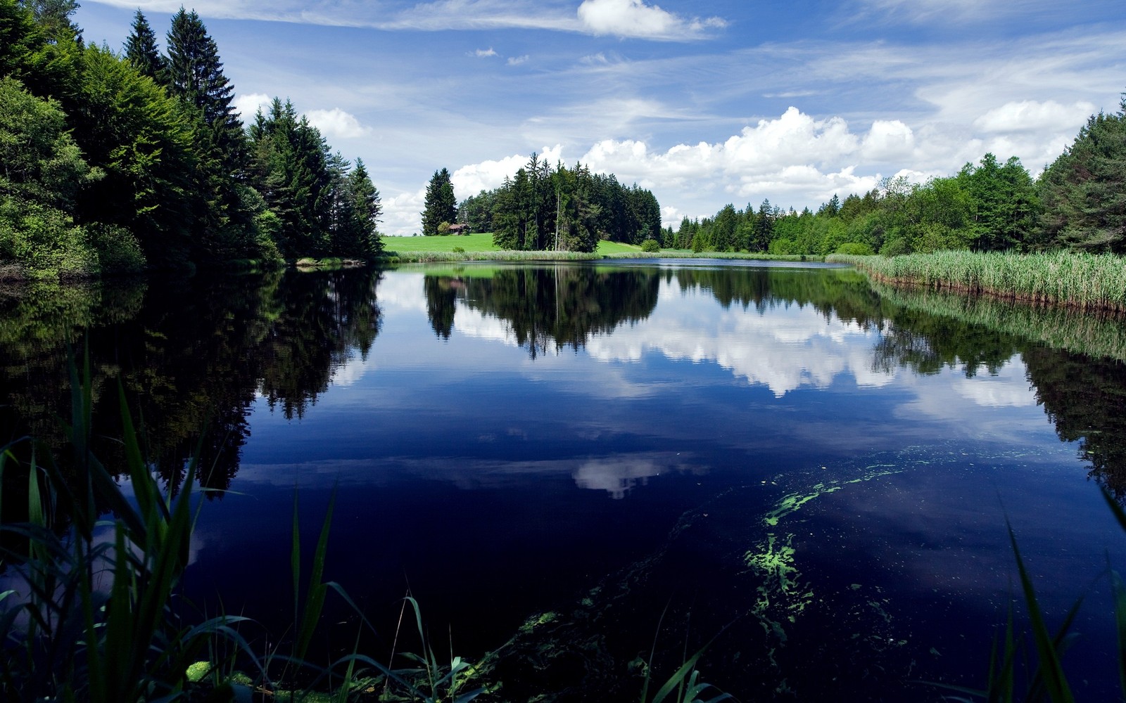 Una vista de un lago con un bosque de fondo (reflexión, naturaleza, cuerpo de agua, agua, lago)