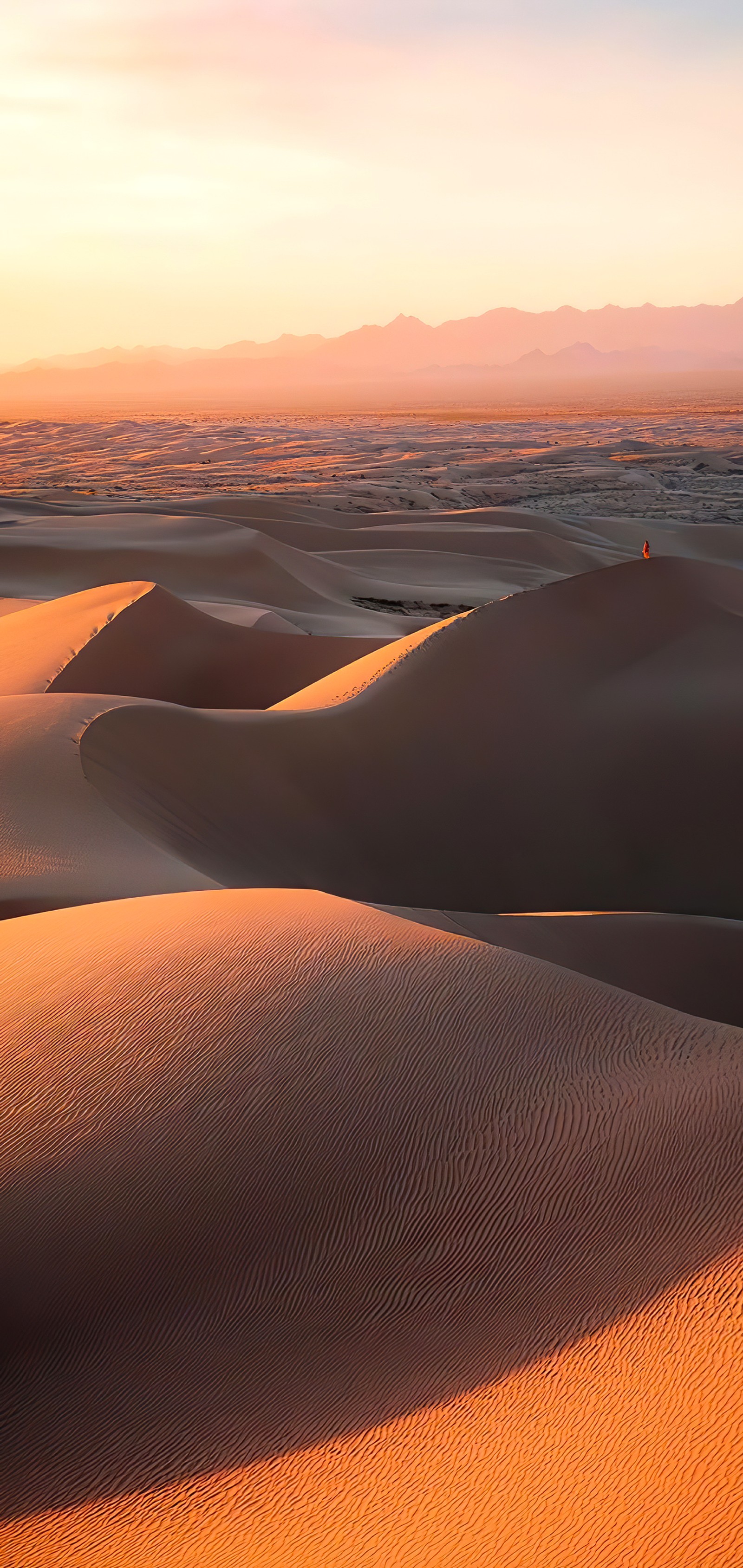 Jirafas caminando a través de un desierto con un atardecer de fondo (arena cantante, atmósfera, día, entorno natural, naranja)