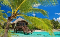 beach, hut, tropics, palm tree, vacation wallpaper