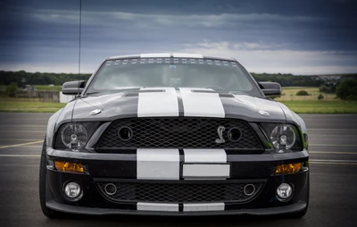 shelby mustang, ford gt, sportwagen, auto, muscle car