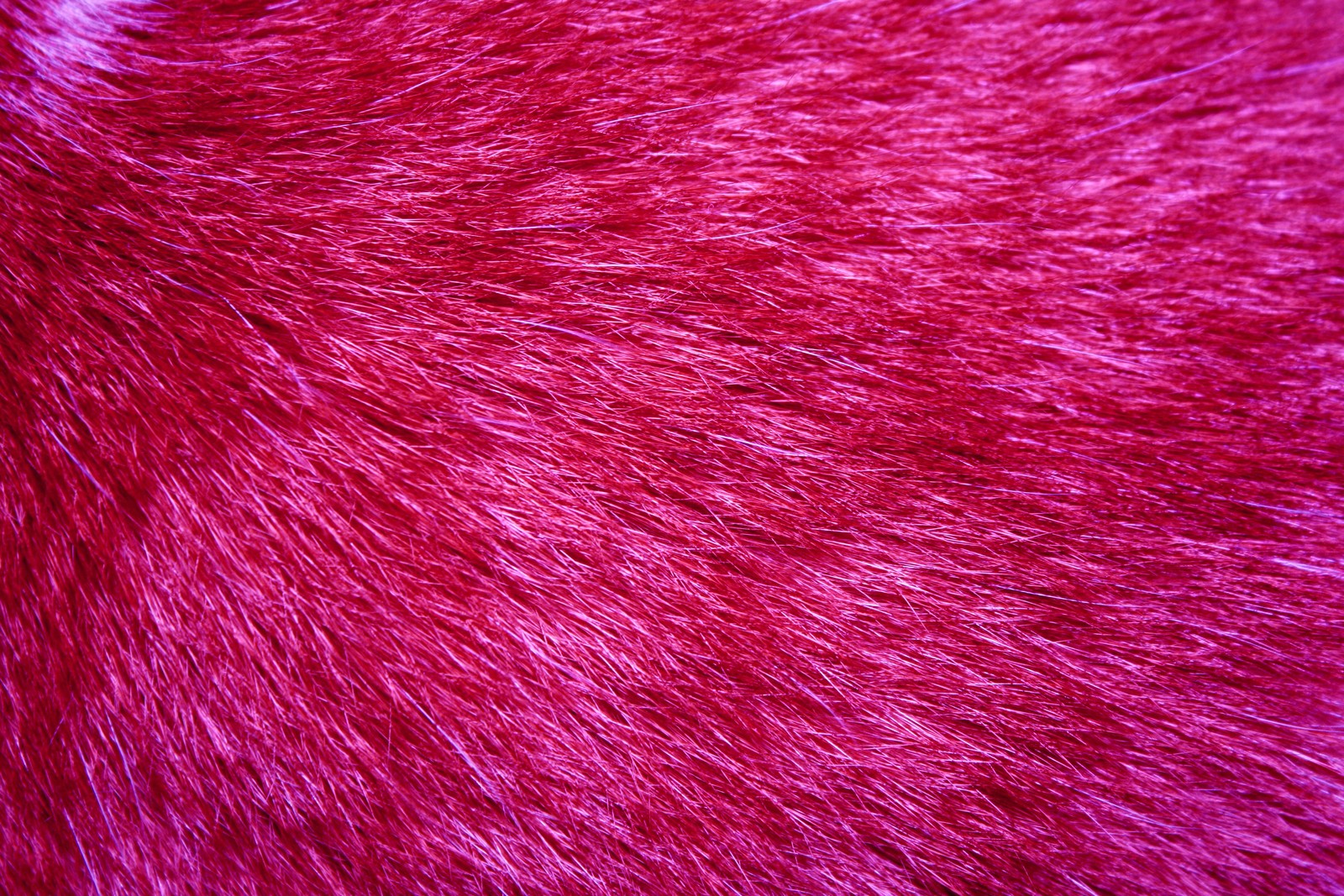 fur, texture, pink, magenta, red wallpaper