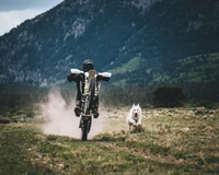 motocross, enduro, motorad, offroad, boden