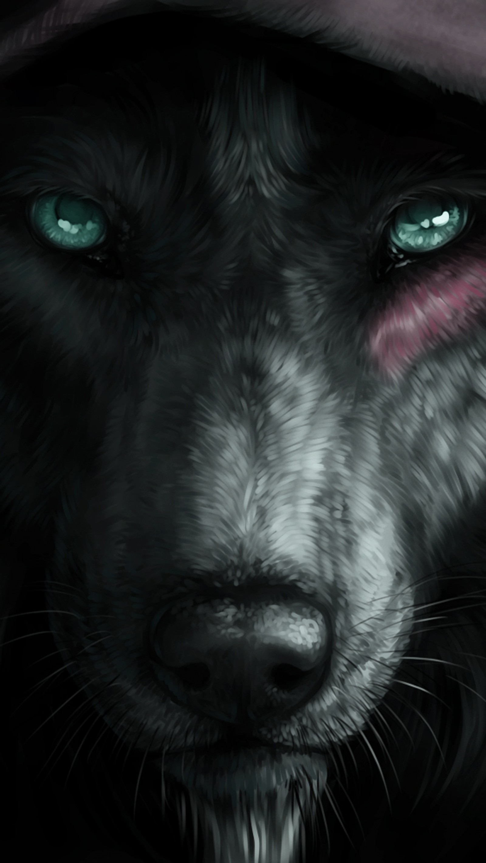 Descargar fondo de pantalla negro, ojos, lobo