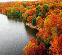 naturaleza, fondo de pantalla