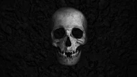 foba, skull, wallpaper