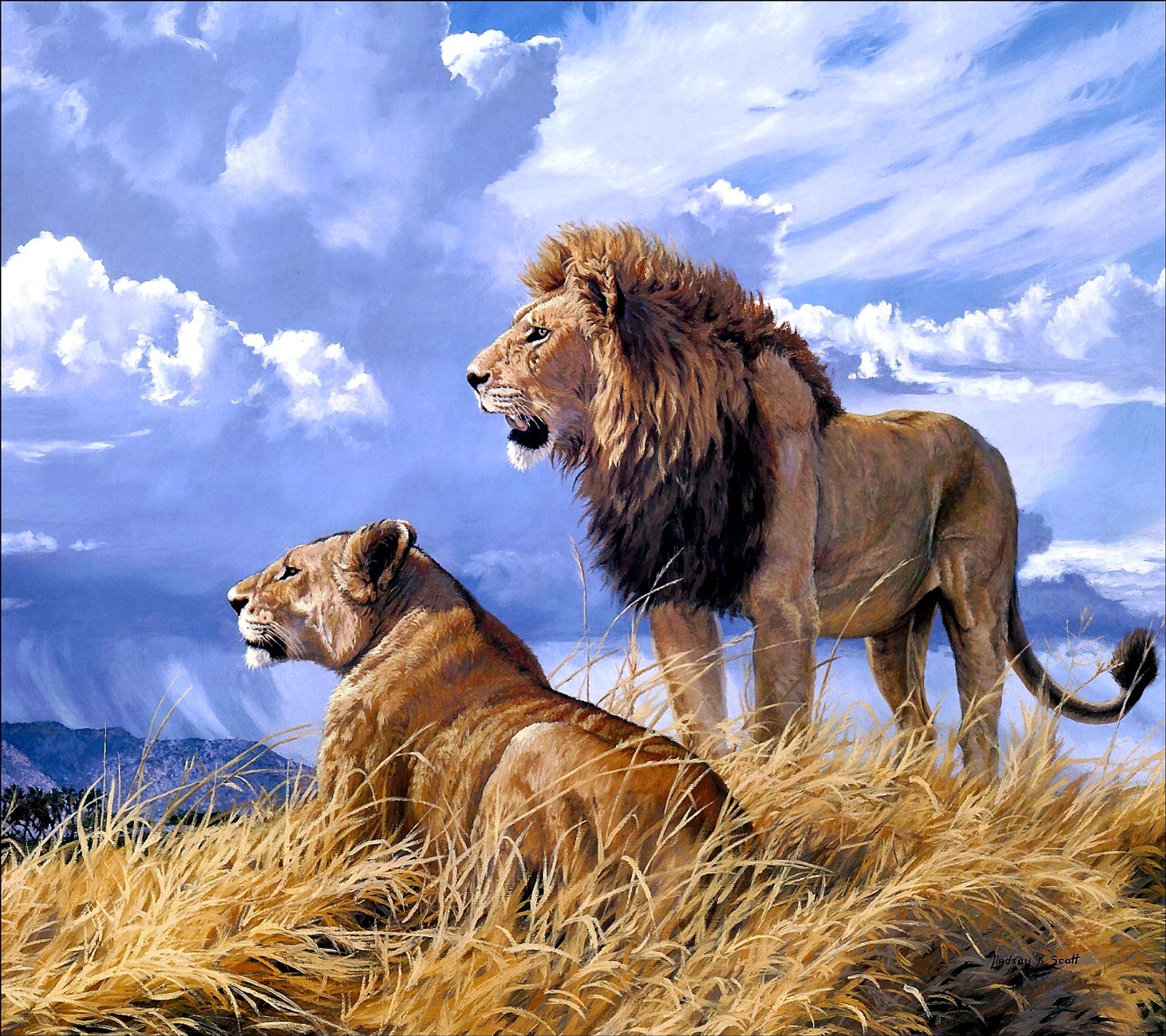 lions, sky Download Wallpaper