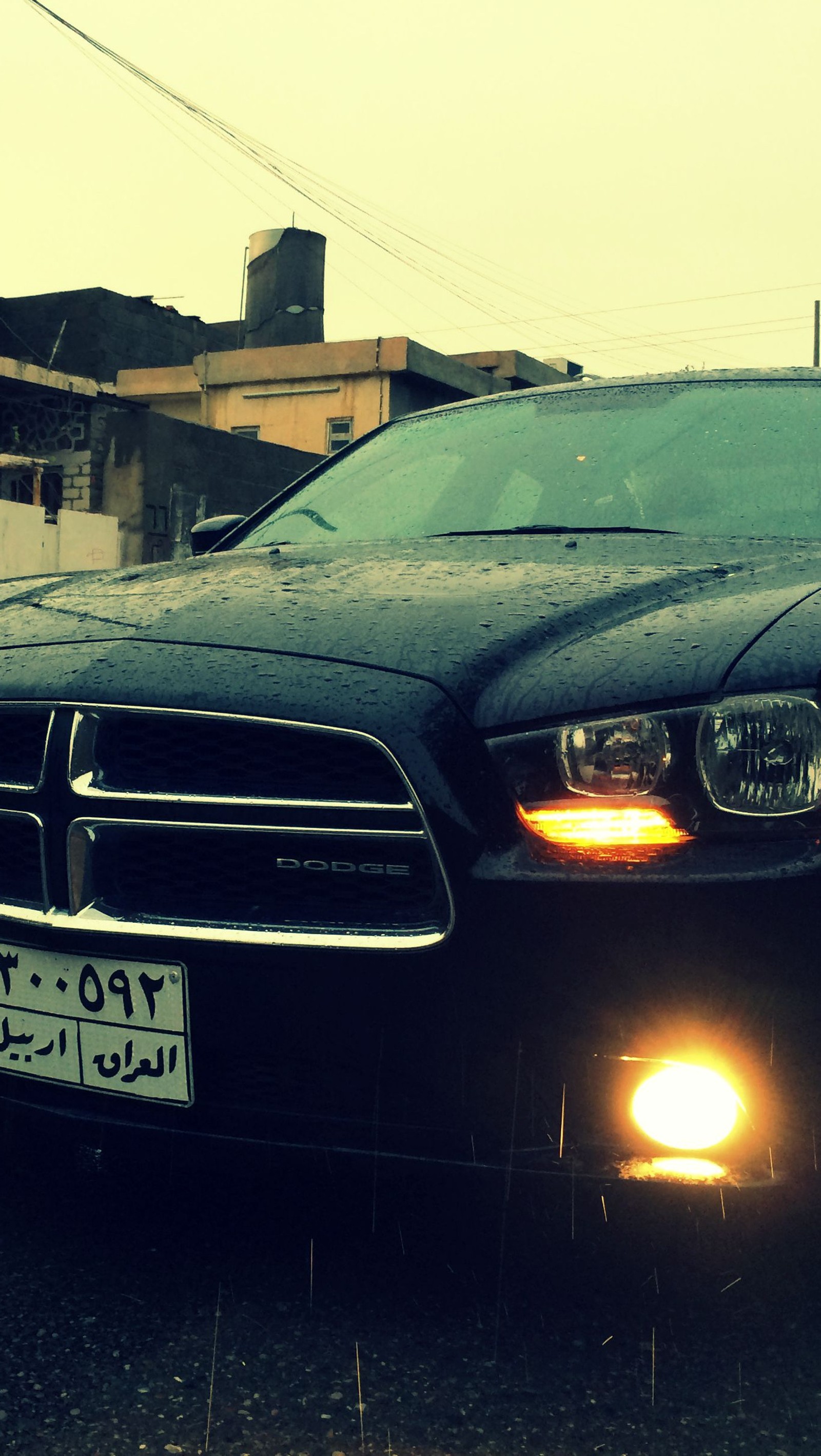 Arafed dodge charger parked in front of a building with a license plate (black, car, charger, dodge, iraq)