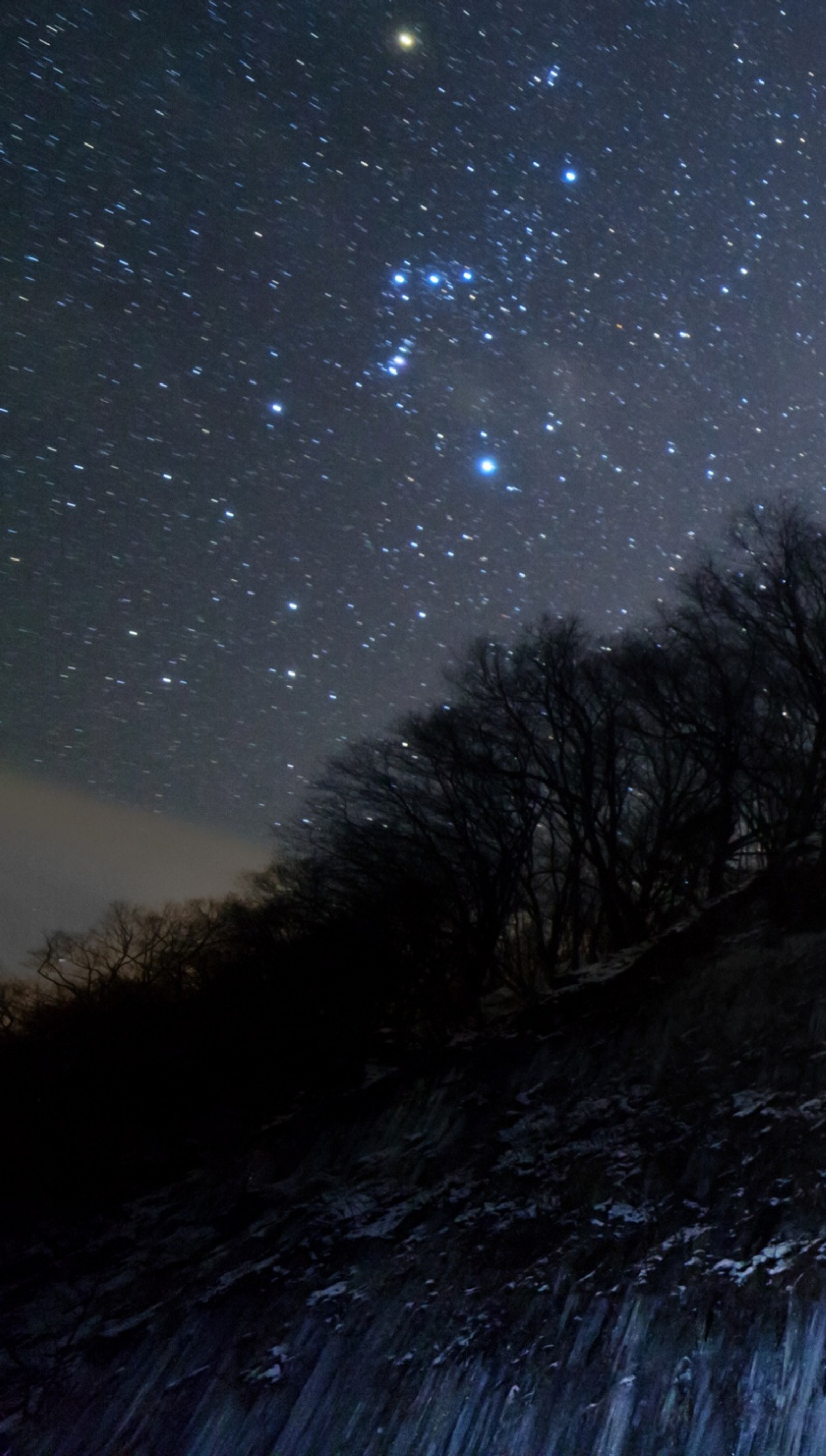 Céu estrelado com algumas estrelas acima de uma colina e árvores (noite, estrela)