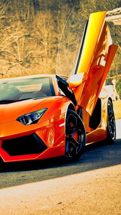 auto, lamborghini, orange, geschwindigkeit