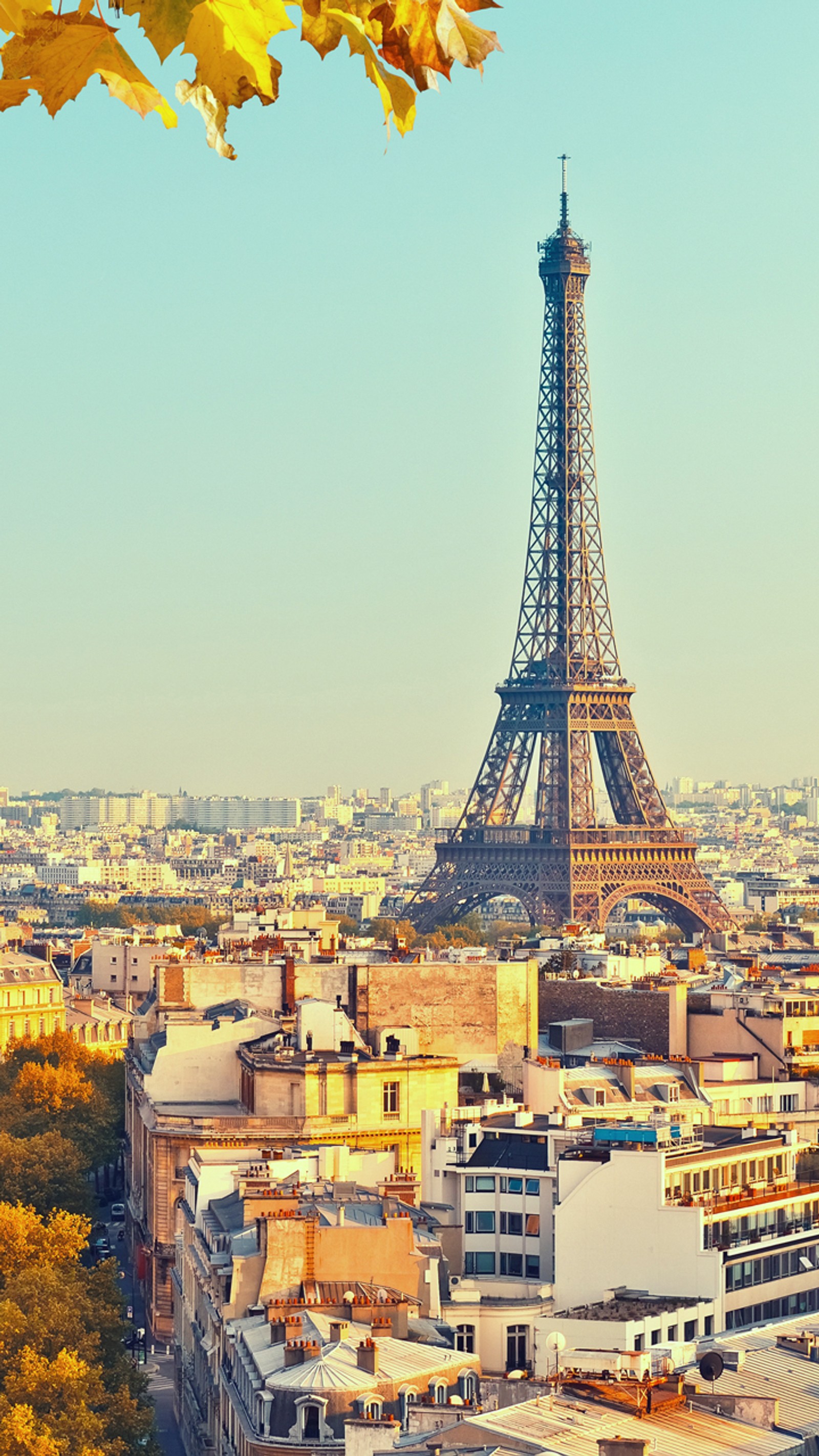 Araffe view of the eiffel tower from the top of the hill (city, eiffel tower, paris)