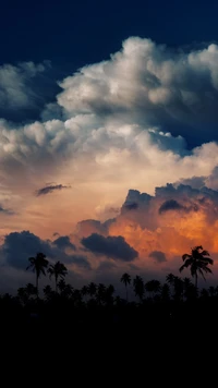 Atardecer tropical con palmeras en silueta y nubes dramáticas