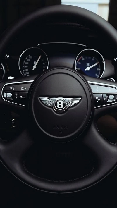 bentley, icespeed, supersport, supersports