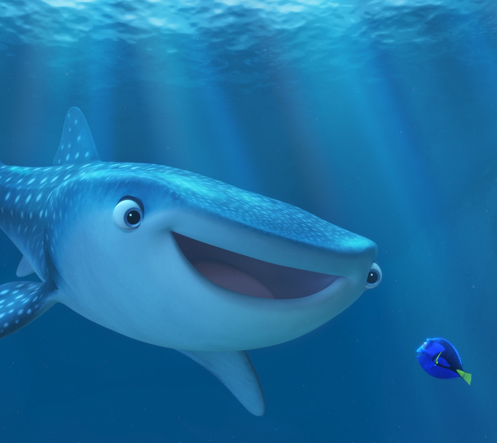 A close up of a whale with a fish in the water (finding dory, fish, nemo, shark)