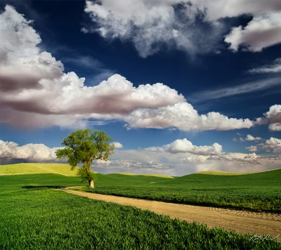 bonito, nuvens, campo, paisagem, natureza