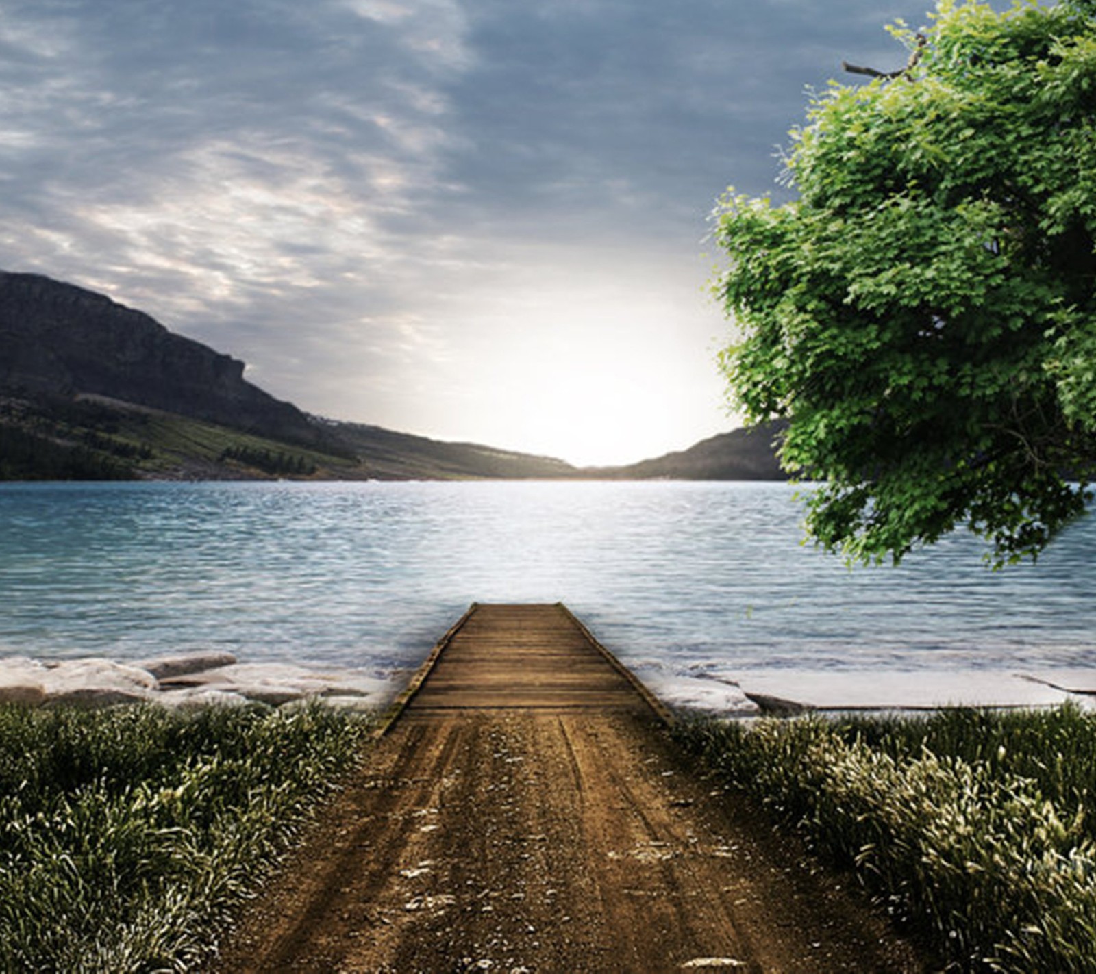 Ein schotterweg, der zu einem see mit einem baum führt (voll, hd, natur, leise, zeit)