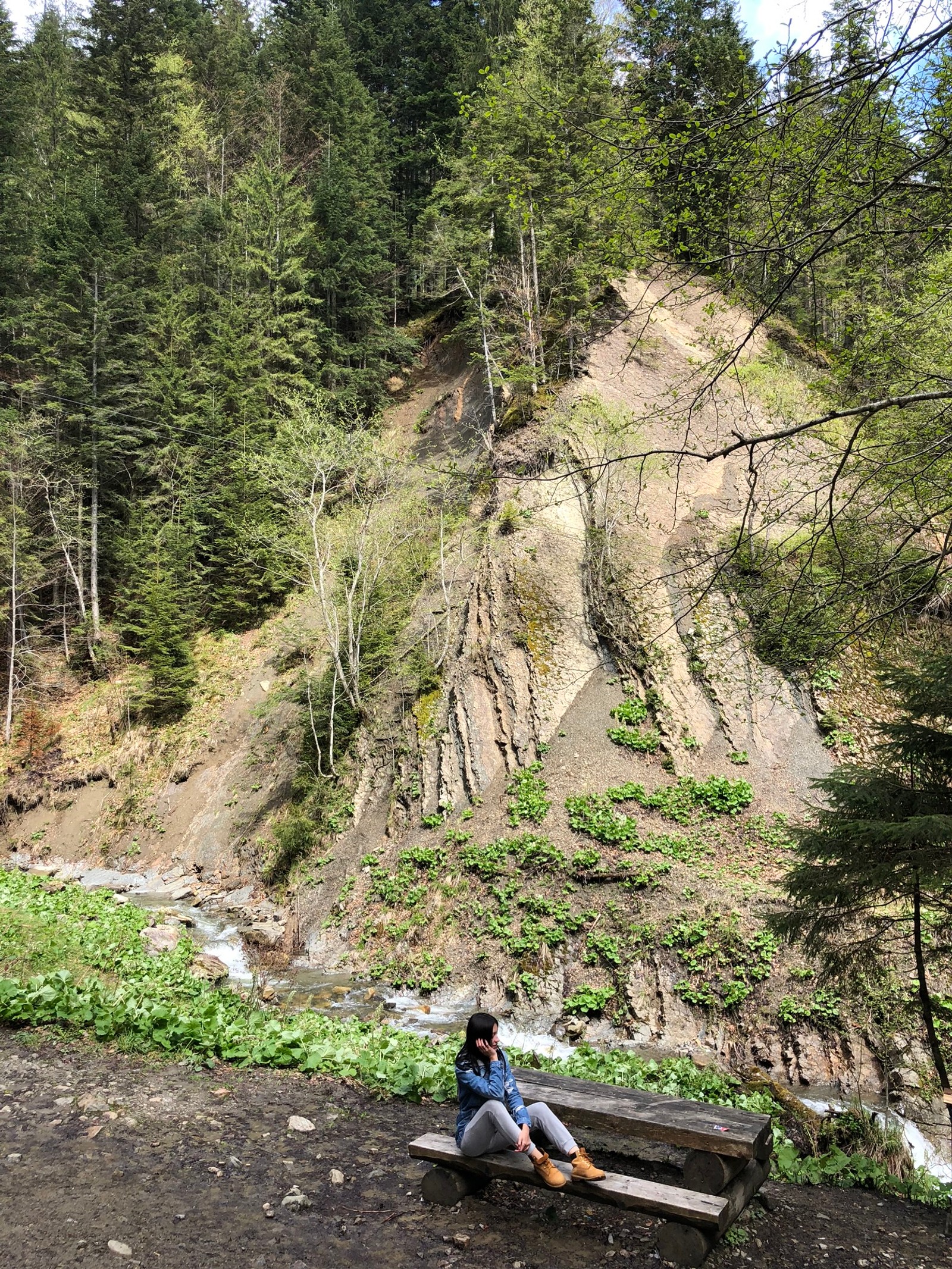 Une femme est assise sur un banc dans les bois (arbre, géologie, affleurement, forêt, sauvage)