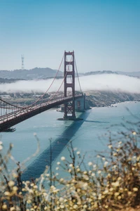 Ponte Golden Gate com vista para uma baía nevoenta no inverno