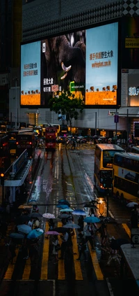 Réflexion de la ville : Autobus et panneaux publicitaires dans des rues pluvieuses