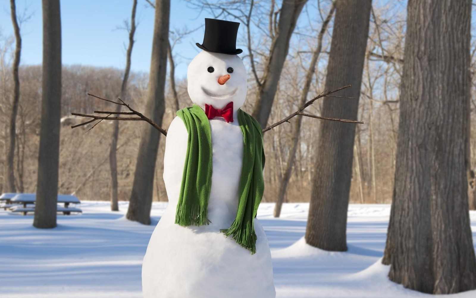 Ein schneemann steht im schnee (schneemann, weihnachten, neues jahr)