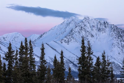 Montagnes enneigées encadrées par des forêts d'épicéas au crépuscule