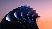 Abstract curves representing innovation in Microsoft Windows 11 technology.