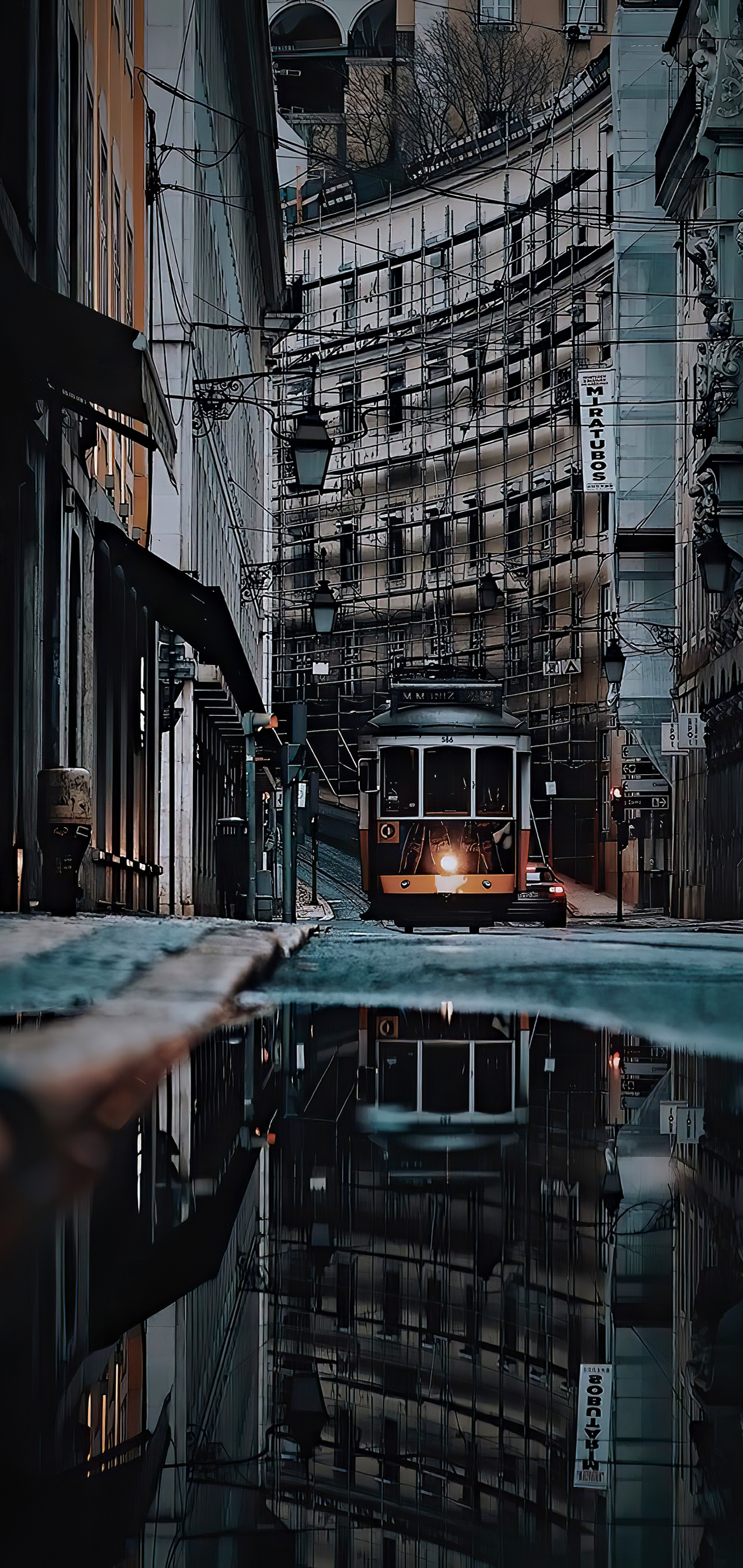 Un tram sur une rue de la ville avec des bâtiments et un reflet dans l'eau (pommes, bâtiment, train, électricité, matériel roulant)