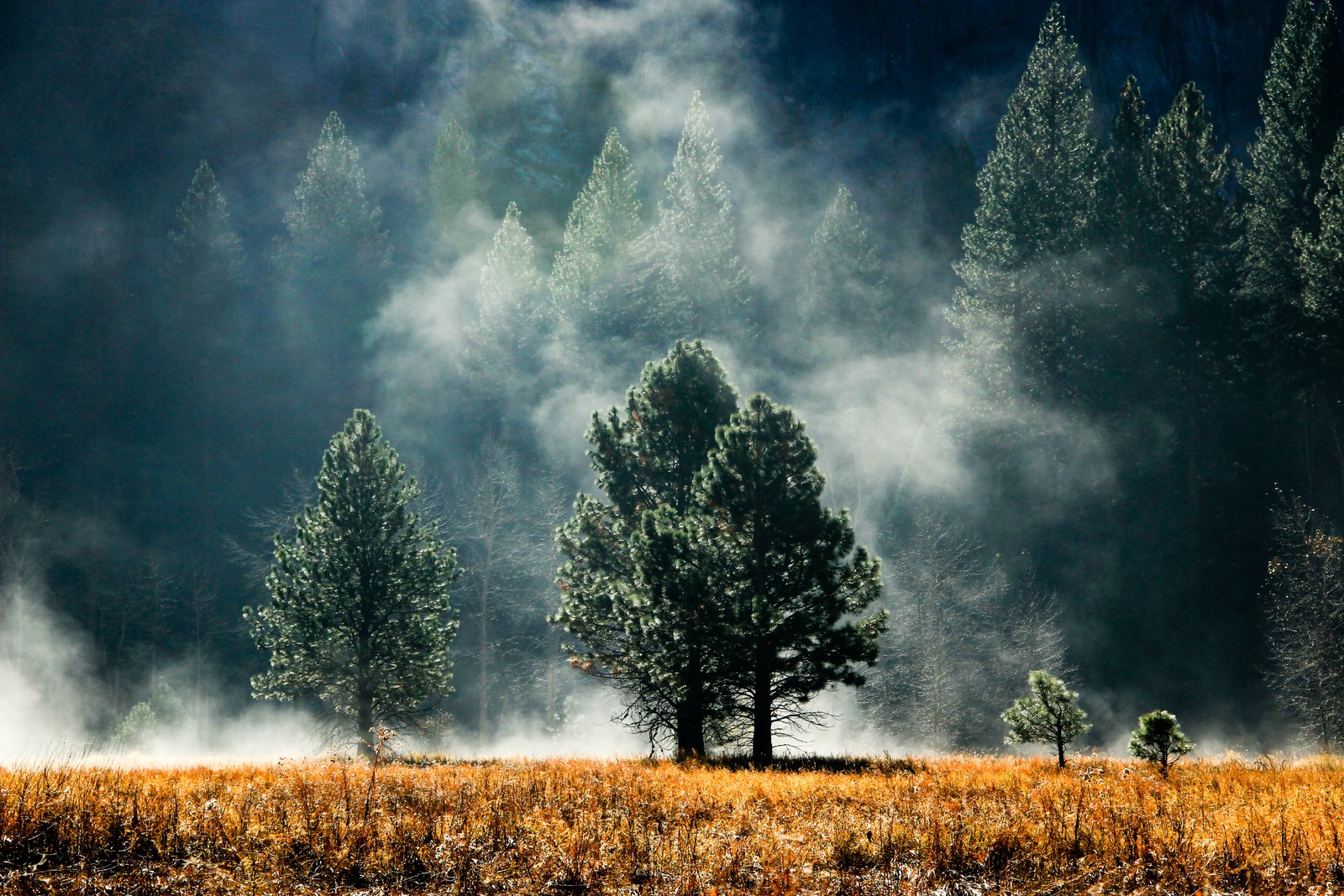 Lade natur, natürliche landschaft, baum, wolke, naturumgebung Hintergrund herunter