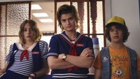 stranger things, série de televisão, maya hawke, pisco de peito ruivo, joe keery