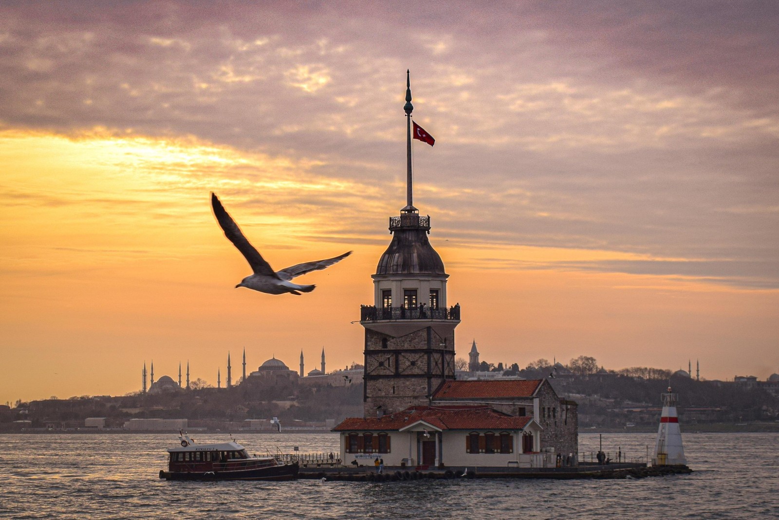 Arafed view of a lighthouse with a bird flying over it (tower, sea of marmara, cloud, water, bird)