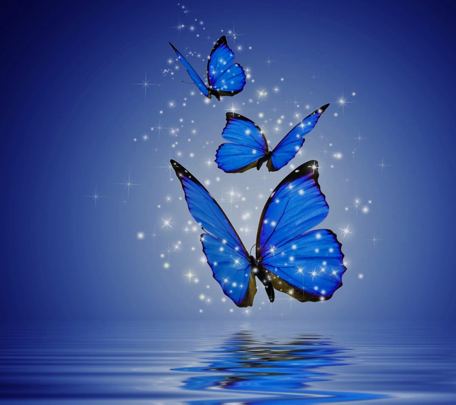 Three blue butterflies flying over water with sparkles in the background (abstract, blue, butterfly, lake, stars)