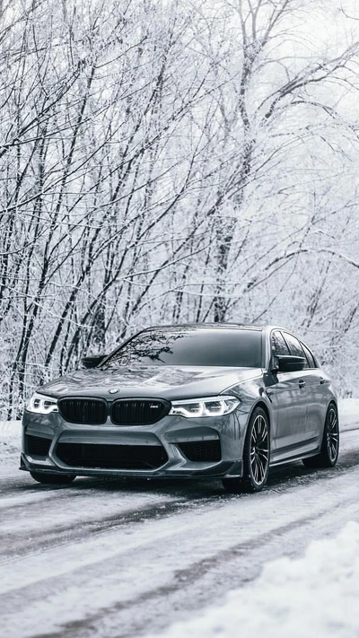 BMW M5 F90 in a winter landscape.