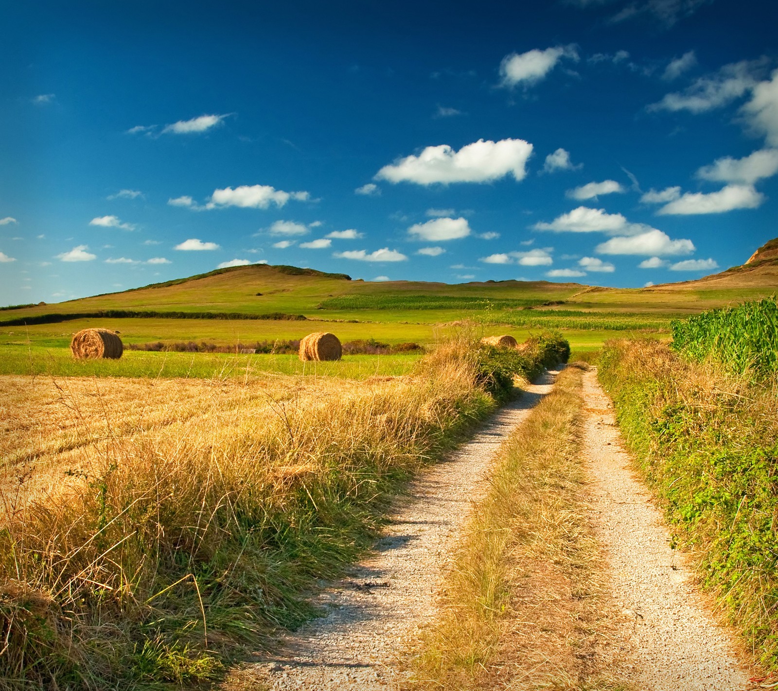 Un gros plan d'un chemin de terre près d'un champ avec des balles de foin (1080p, saleté, ferme, hd, nature)