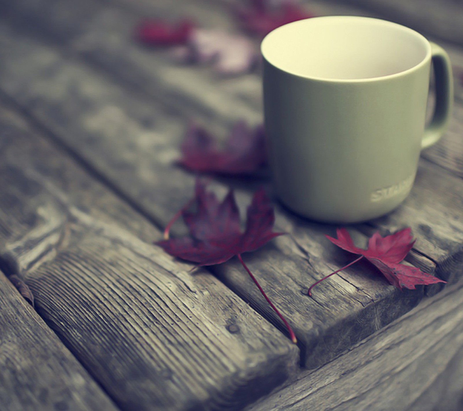 There is a cup of coffee on a wooden table with leaves (alone, coffee, cup, cute, leaves)